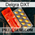 Delgra DXT new01